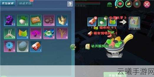 创造与魔法手游资讯,揭秘魔法饲料的制作与趣味玩法探索