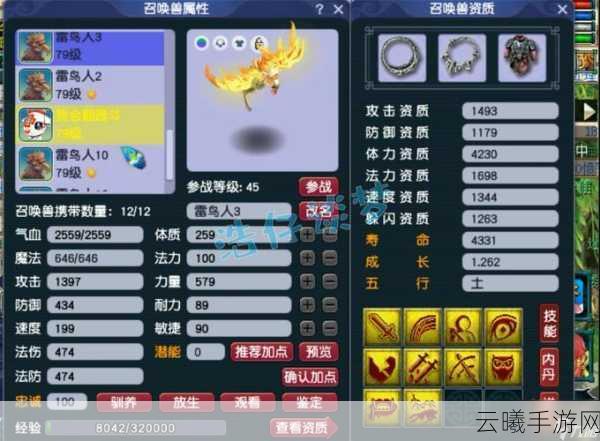 梦幻西游手游普陀山法宝搭配全攻略,战力飙升的最佳选择