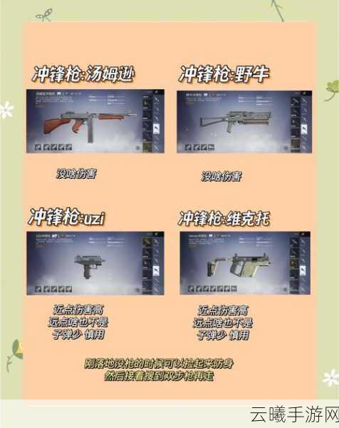 绝地求生新手武器挑选全攻略,揭秘底层逻辑与实战操作,解锁趣味玩法!