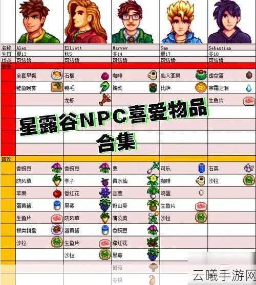 星露谷物语法师商店物品大揭秘,深入神秘商店,发掘无尽宝藏