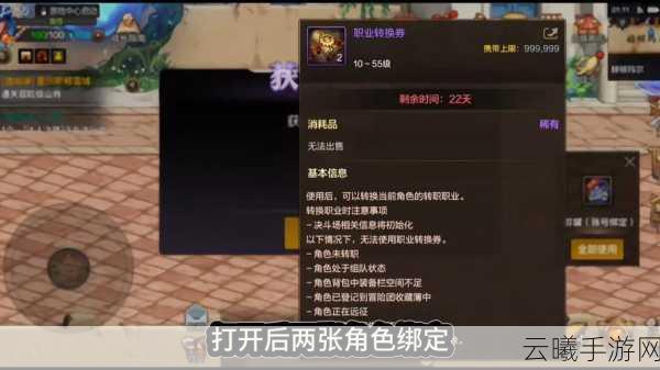 DNF手游转职书使用攻略，解锁全新战斗体验，探索无限可能！