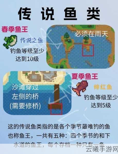 星露谷物语钓获传奇鱼王攻略大揭秘，必要条件深度剖析与实战钓鱼乐趣指南