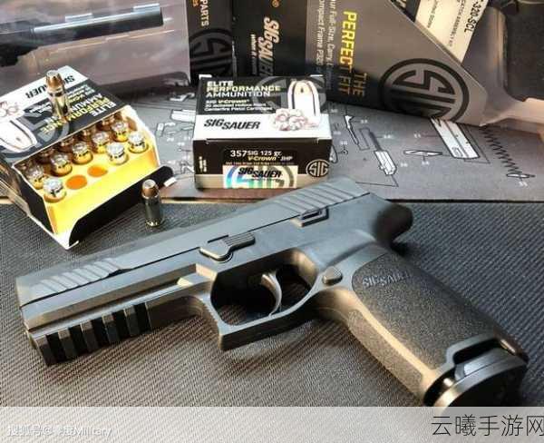 生化危机2重制版手游深度解析,Browning Hi-Power手枪下的末日求生新体验