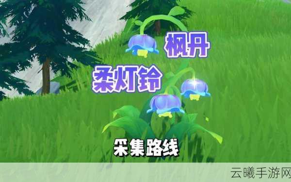 原神柔灯铃的花语成就解锁攻略及趣味玩法介绍