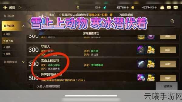 DNF手游西北雪山六人团本攻略，探索冰雪世界的终极挑战