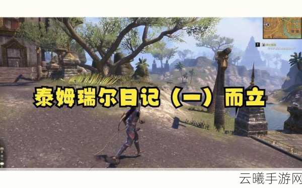 上古卷轴OL与上古卷轴5手游化差异全解析，探索无限可能的泰姆瑞尔世界