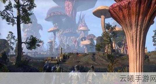 上古卷轴OL与上古卷轴5手游化差异全解析,探索无限可能的泰姆瑞尔世界