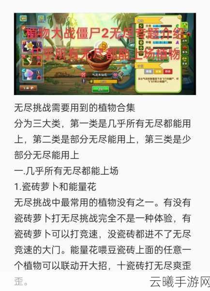 植物大战僵尸2无尽模式解锁全攻略,实战指南与隐藏任务揭秘