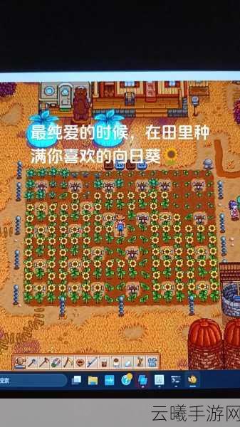星露谷物语手游新篇章,探索玻璃纤维棒的奥秘与趣味玩法揭秘