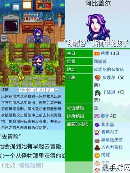 星露谷物语女性角色大盘点，谁是你的心动之选？