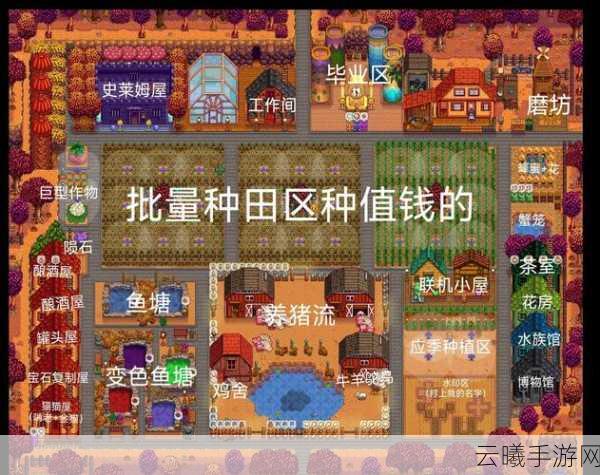 星露谷物语鸭毛加工全攻略，打造多彩农场生活！