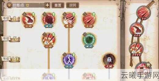 航海王燃烧意志深度解析,3级阵4级阵策略布局与趣味玩法揭秘