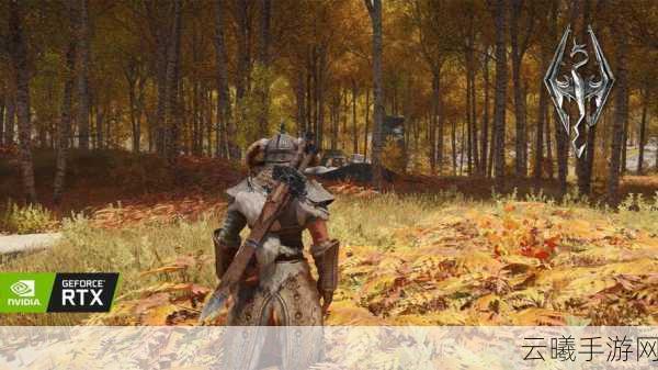 上古卷轴5天际重制版手游画质与帧率提升全攻略