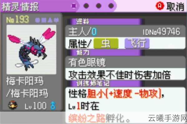 口袋妖怪漆黑的魅影三周目详细开启攻略与趣味玩法揭秘