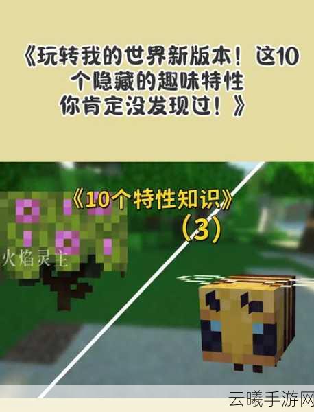 2025年我的世界手游热门不可或缺物品全解析及趣味玩法探索