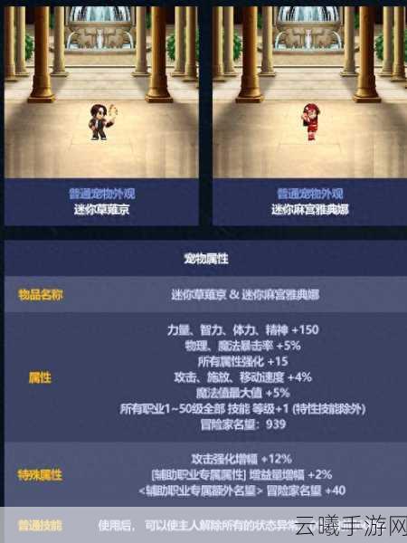 DNF手游宠物大比拼,炫酷外观争霸,揭秘你的专属萌宠之选!