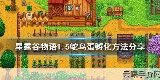 星露谷物语鸵鸟蛋孵化全攻略,解锁农场新乐趣!