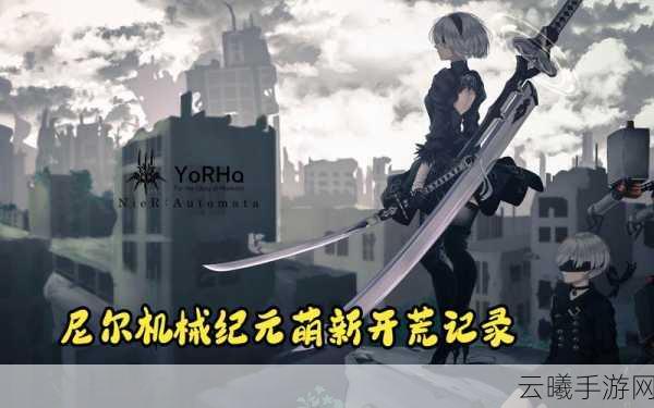 探索尼尔机械纪元手游,艾米鲁商店任务全面完成指南及趣味玩法揭秘