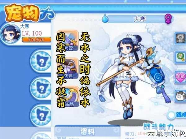 洛克王国腊月寒冬玩法全揭秘，迎娶大寒，共度寒冬盛宴！