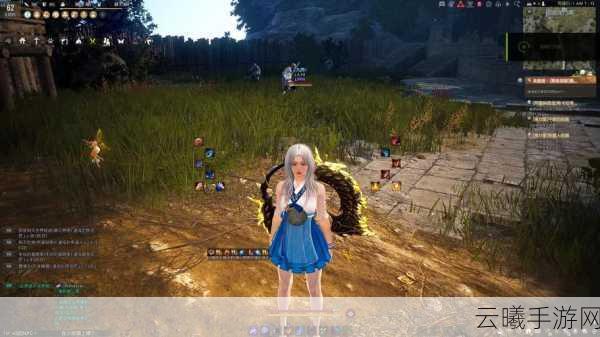 黑色沙漠女武士崛起,揭秘高伤害技能组合与实战应用,探索无尽冒险之旅