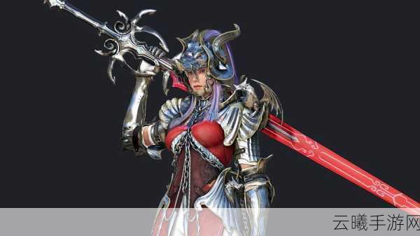 黑色沙漠女武士崛起,揭秘高伤害技能组合与实战应用,探索无尽冒险之旅