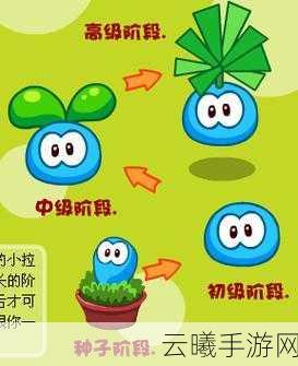 摩尔庄园手游拉姆获得攻略及趣味玩法介绍
