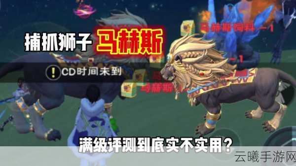 创造与魔法手游资讯,全面掌握创魔马赫斯饲料制作与趣味玩法