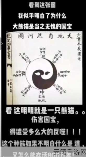 太极熊猫武器对比深度剖析,哪个武器更胜一筹?全面解锁武器选择与趣味玩法之道