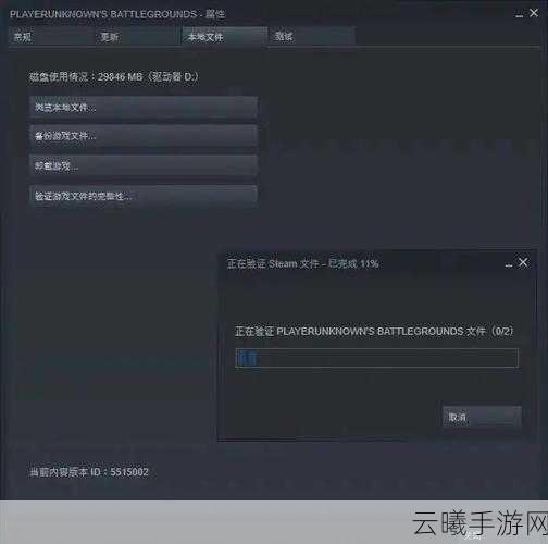艾尔登法环Win10闪退问题全攻略，畅享奇幻冒险之旅