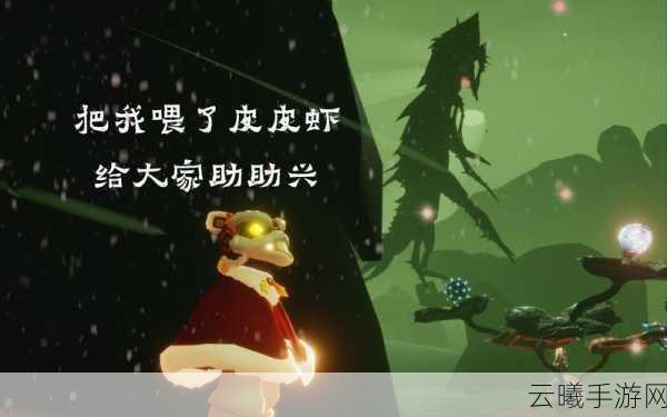 光遇暮土驯龙大赛秘籍，解锁天际征服之旅的奇幻技巧与趣味玩法