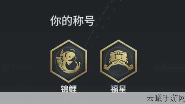 永劫无间暗域狂潮,解锁锦鲤成就的秘籍与趣味玩法