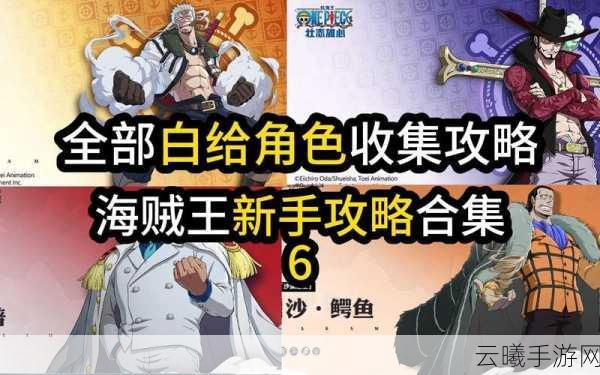 航海王壮志雄心预创角色名称差异大揭秘，探索无限海域，扬帆起航的奇幻之旅