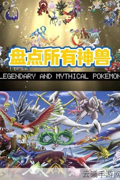 口袋妖怪剑盾神兽深度解析,从属性到策略应用的全面探索