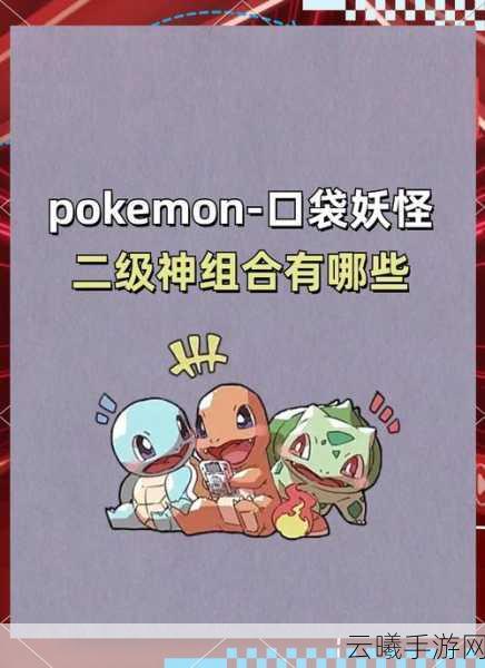 口袋妖怪剑盾神兽深度解析,从属性到策略应用的全面探索