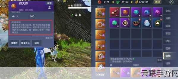 妄想山海小阿鼓进化全攻略,解锁侍从新形态!