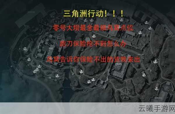 三角洲行动鸟窝探秘,解锁隐藏功能与趣味玩法全解析