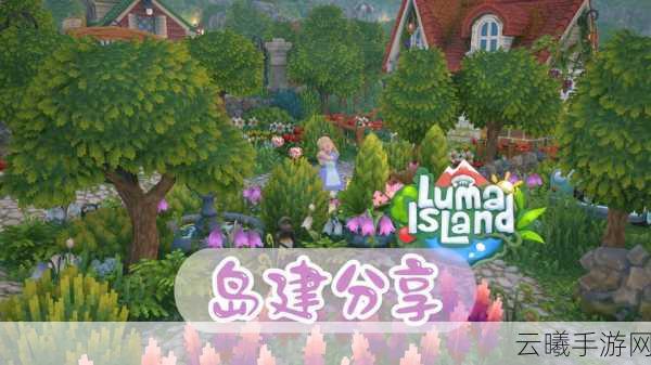 创造与魔法乐园岛全新探索之旅，梦幻岛屿的奇幻冒险指南