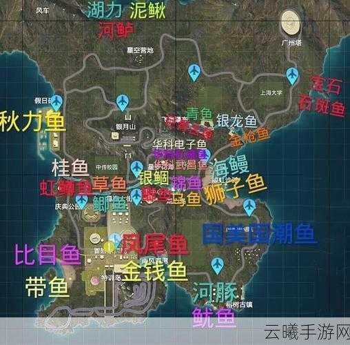 和平精英钓鱼大赛,每日钓鱼上限揭秘及趣味玩法全览