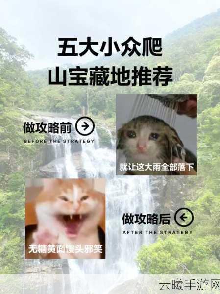 动物森友会爬山技巧全揭秘,探索高山奇遇的无限乐趣