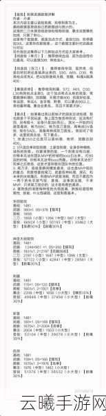 仙境传说RO手游刺客毕业装备全揭秘及趣味玩法探索