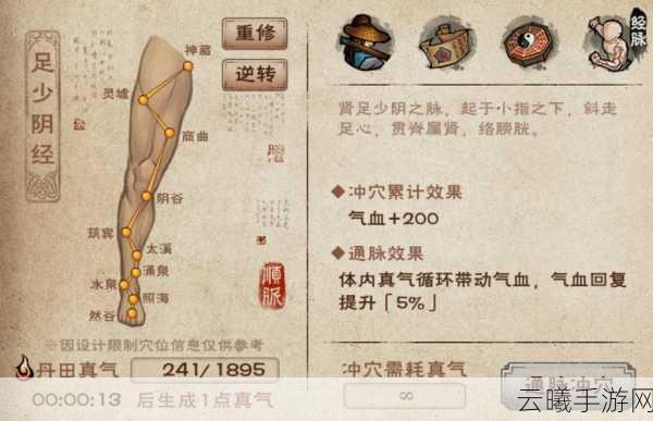 烟雨江湖太阴绝命手秘技搭配全攻略,解锁江湖新玩法!