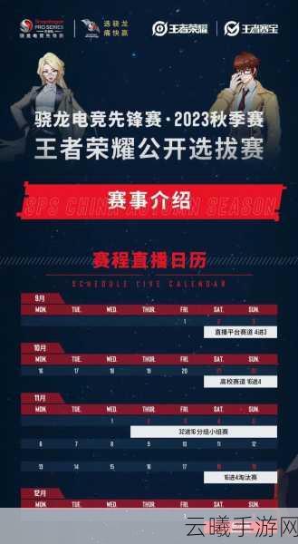 王者荣耀电子竞技员证书报名考试全攻略，解锁电竞新纪元，探索趣味玩法深度揭秘