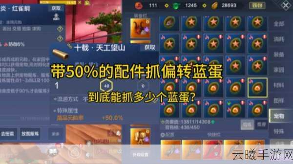 妄想山海装备攻略,全面解锁装备获得方法与趣味玩法探索