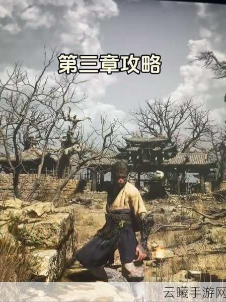 黑神话，悟空第三回探险攻略与趣味玩法揭秘