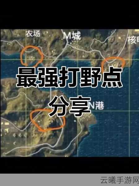 绝地求生刺激战场深度揭秘，实战绝密技巧与策略运用全攻略