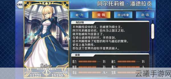 命运冠位指定哪些英灵最强？全面解析与趣味玩法揭秘