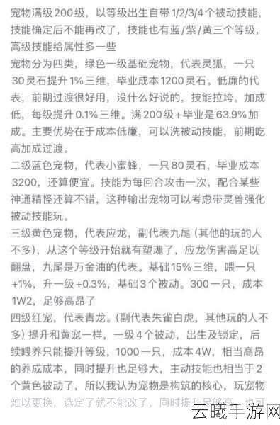 神雕侠侣手游深度解析,探索圣兽降临的奥秘与趣味玩法
