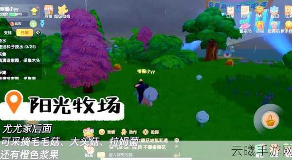 摩尔庄园手游囧蘑菇获取全攻略及趣味玩法揭秘