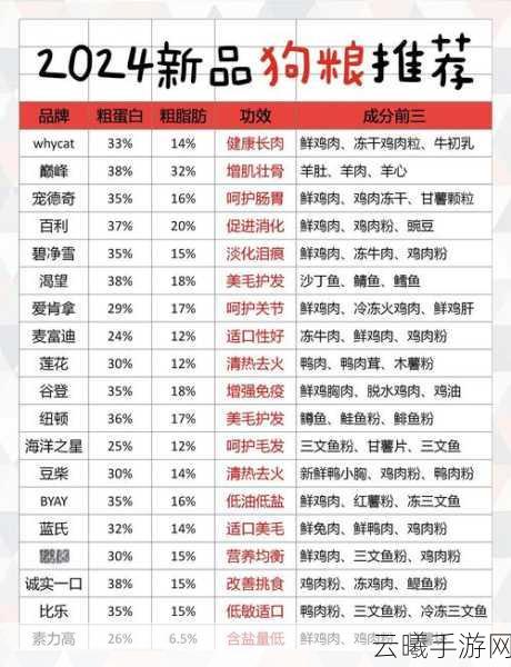 剑与远征，全面剖析狗粮性价比，解锁高效养成新策略，详解狗粮兑换公式大全及趣味玩法揭秘