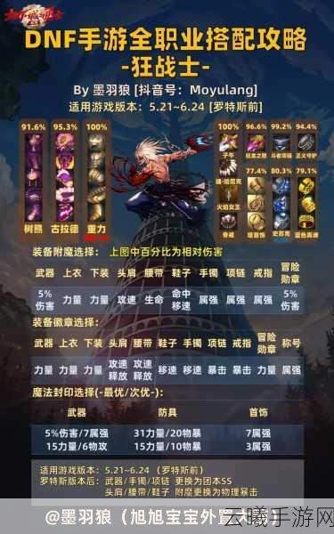 DNF手游圣职者技能加点全攻略,打造最强辅助与输出!